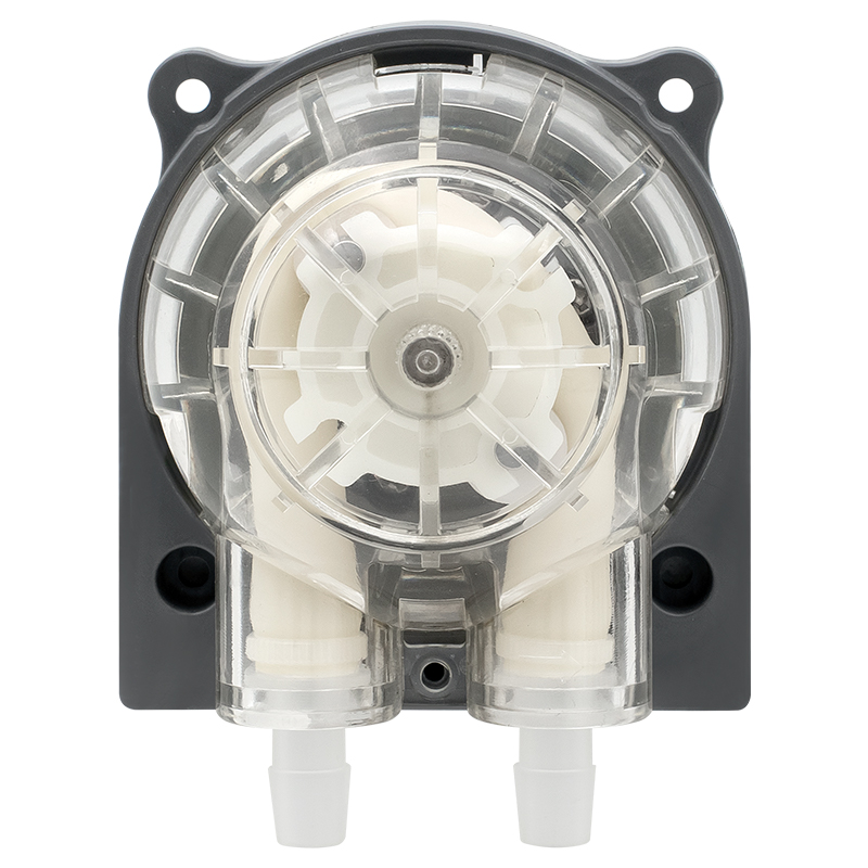 DC Motor Peristaltic Pump LFP303/DB