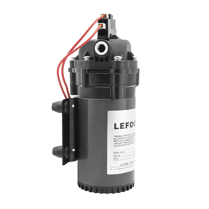 115VAC Demand Delivery Pump