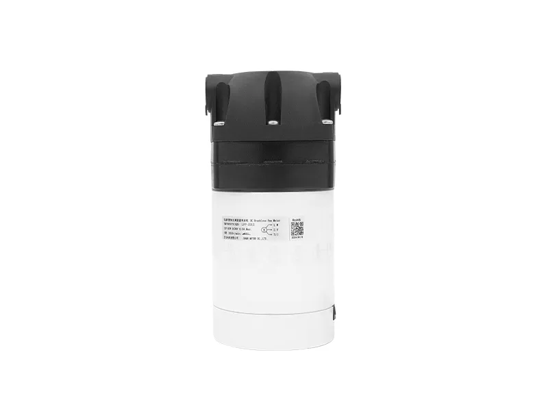 Commercial 800GPD Fixed frequency Brushless RO Booster Pump