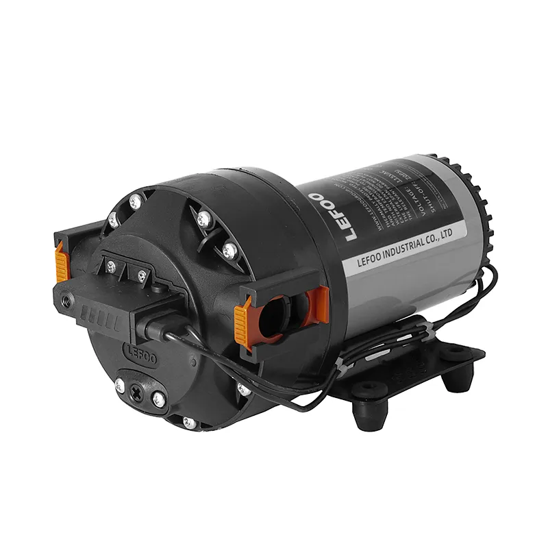 High Flow Demand Delivery Pump