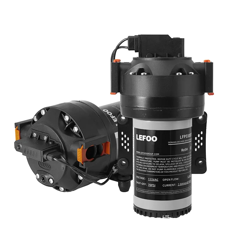 High Flow Demand Delivery Pump