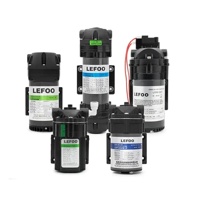 Diaphragm Booster Pump