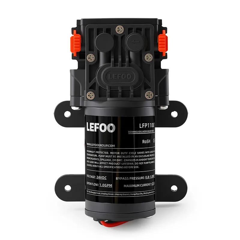 24V 1.0 GPM Dual Chamber Diaphragm Demand Pump